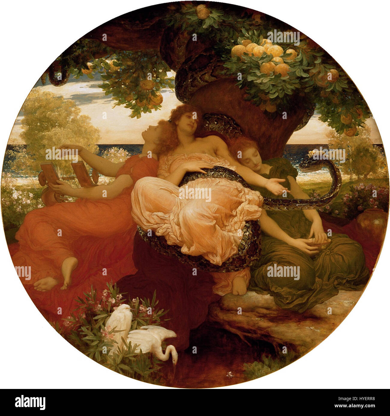 La peinture de Frederic Leighton représente le jardin mythologique des Hespérides, qui abrite les pommes dorées. L'œuvre mélange la mythologie classique avec le style romantique de l'artiste, mettant en valeur des figures dans un environnement luxuriant et mythique. Banque D'Images