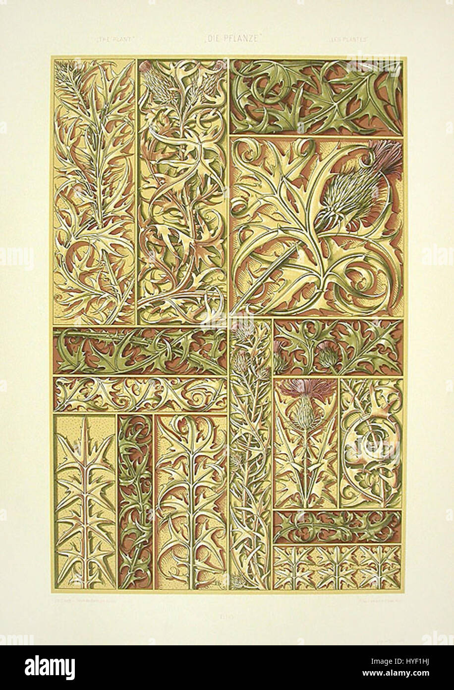 'Thistles 3' par Anton Seder est une illustration botanique détaillée se concentrant sur la plante de chardon. L'œuvre met en valeur les caractéristiques distinctives du chardon, telles que ses feuilles épaisses et ses fleurs vibrantes, en mettant l'accent sur sa beauté naturelle. Banque D'Images