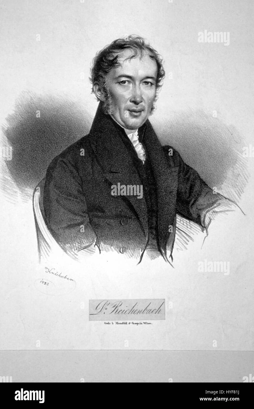 La lithographie de Karl von Reichenbach est un exemple de ses compétences en gravure. Les lithographies étaient un moyen populaire de reproduction d'œuvres d'art et d'illustrations scientifiques au XIXe siècle, et les œuvres de Reichenbach représentaient souvent des sujets d'histoire naturelle. Banque D'Images