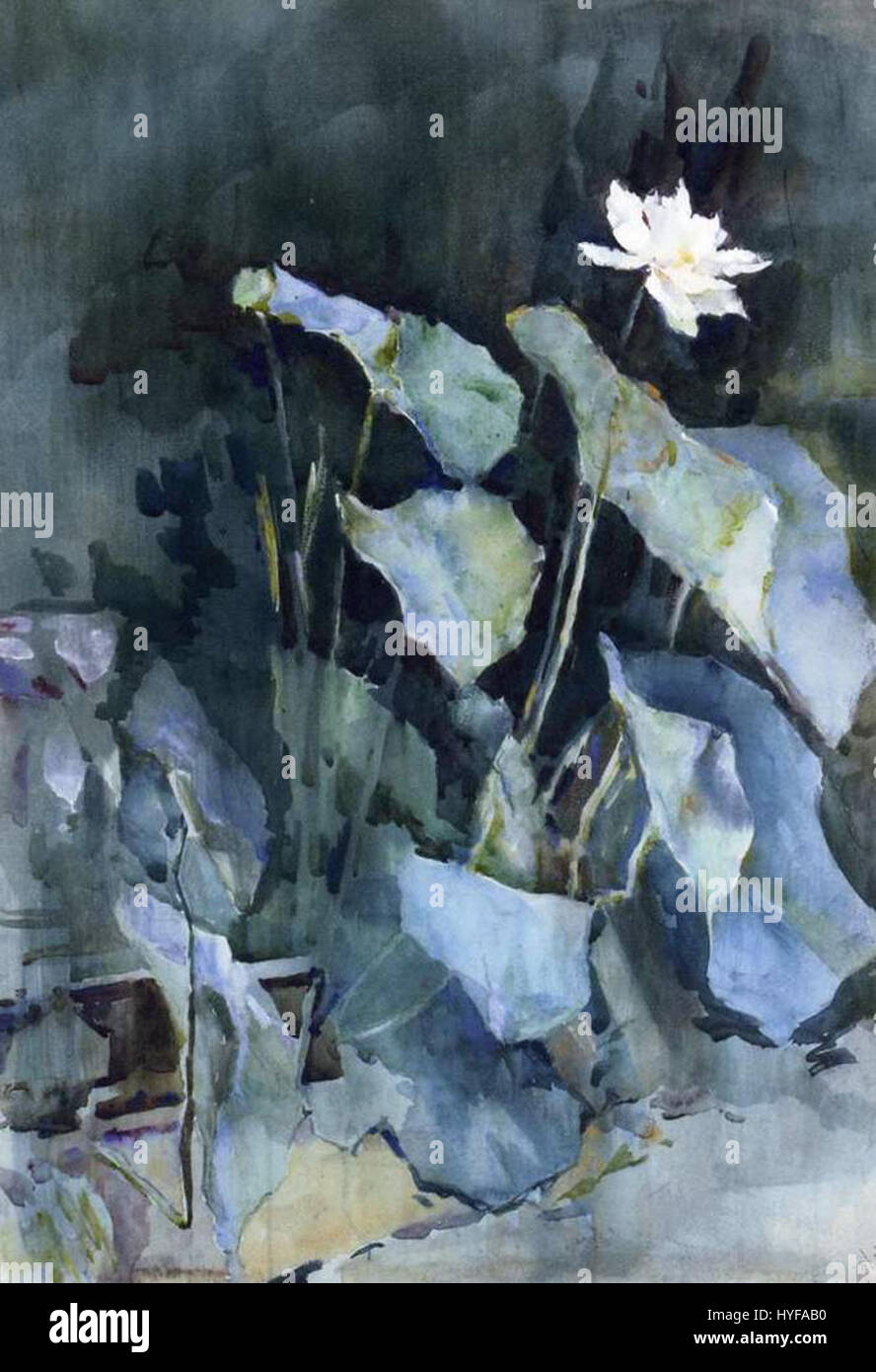 *White Lotus* de Ralph Curtis est une peinture qui explore la beauté de la nature, en se concentrant sur les caractéristiques délicates de la fleur de lotus blanc. L'œuvre illustre l'attention de Curtis à l'exactitude botanique et à l'élégance naturelle. Banque D'Images