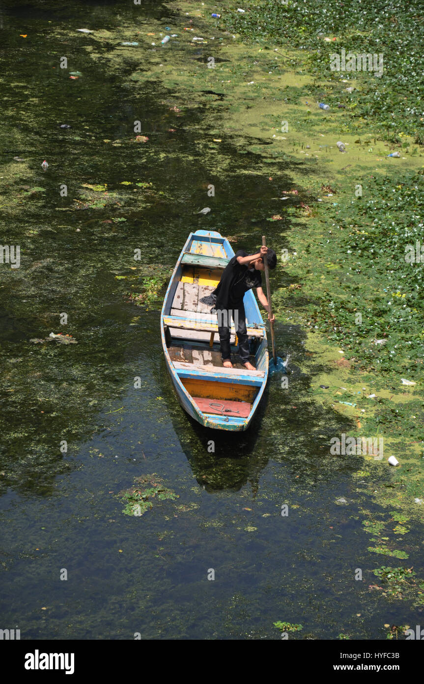 Cachemire Boy, Dal Lake Shikara Boat petit Home Boat (photo Copyright © par Saji Maramon) Banque D'Images