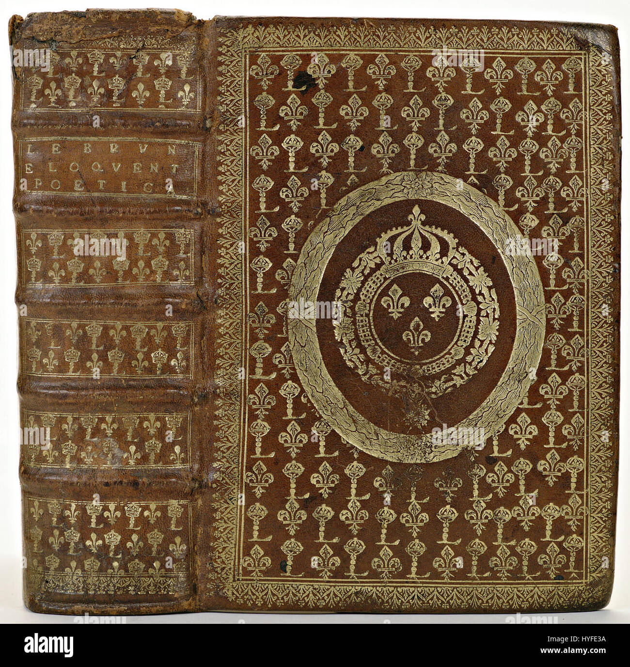 Un morceau de cuir de mouton brun, identifié comme KONB12 142C25, fait partie d'une collection. Le cuir est réputé pour sa texture distinctive et utilisé dans diverses applications artisanales traditionnelles et contemporaines. Banque D'Images