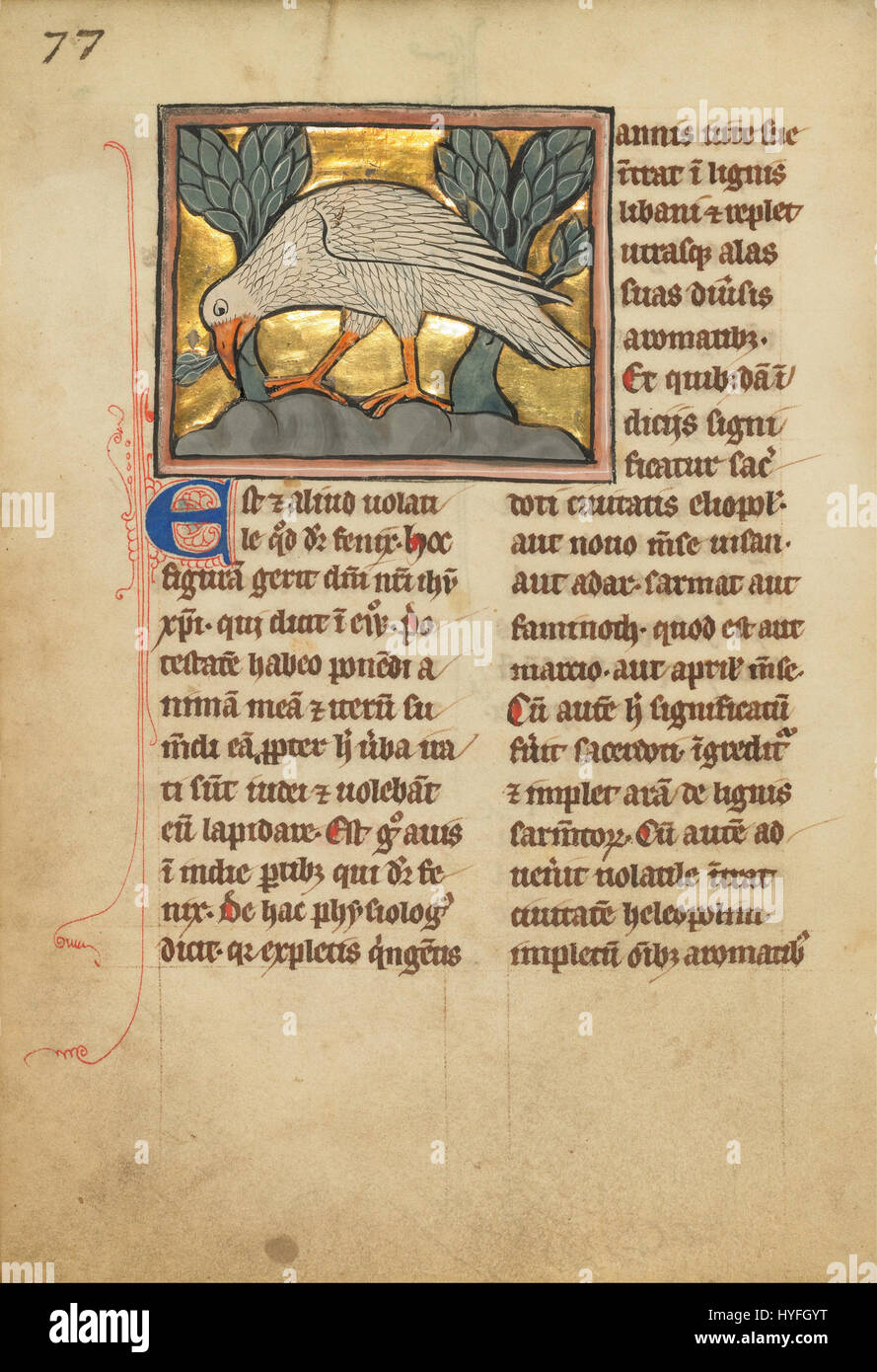 Un Phoenix Google Art Project (JgEpBOK IafeoA0) Banque D'Images