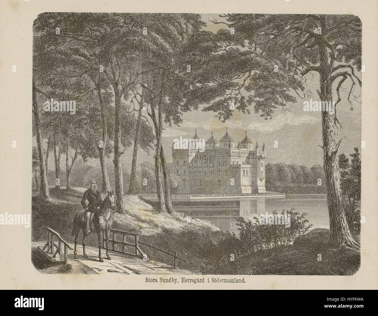 Illustration tirée de 'Nordiska taflor', présentant une plaque botanique, mettant en évidence la flore de la région nordique, mettant l'accent sur les espèces végétales régionales. Banque D'Images