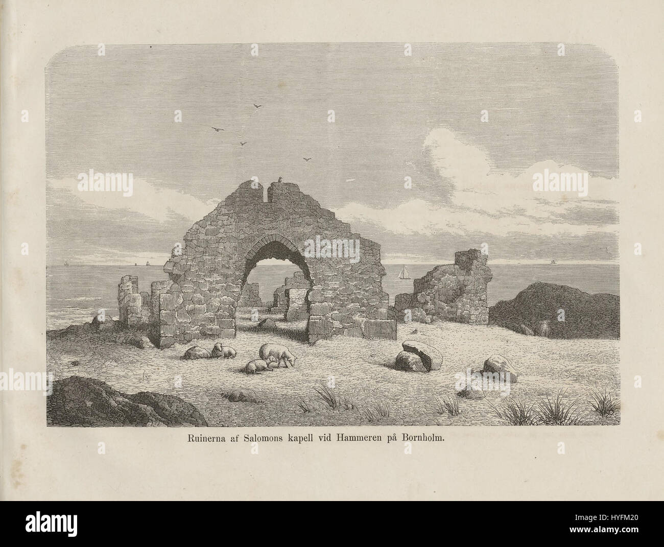 Cette référence se rapporte probablement à un livre historique ou culturel intitulé 'Nordiska taflor', qui peut contenir des illustrations ou des œuvres d'art de paysages, de culture ou de société nordiques. Banque D'Images