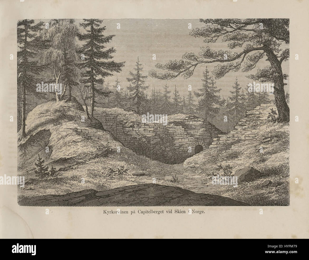 'Nordiska taflor' est une collection aux motifs floraux scandinaves. La version numérisée présente des dessins de l'Europe du Nord, représentant les traditions textiles culturelles et régionales, y compris des fleurs stylisées et des motifs de la nature. Banque D'Images