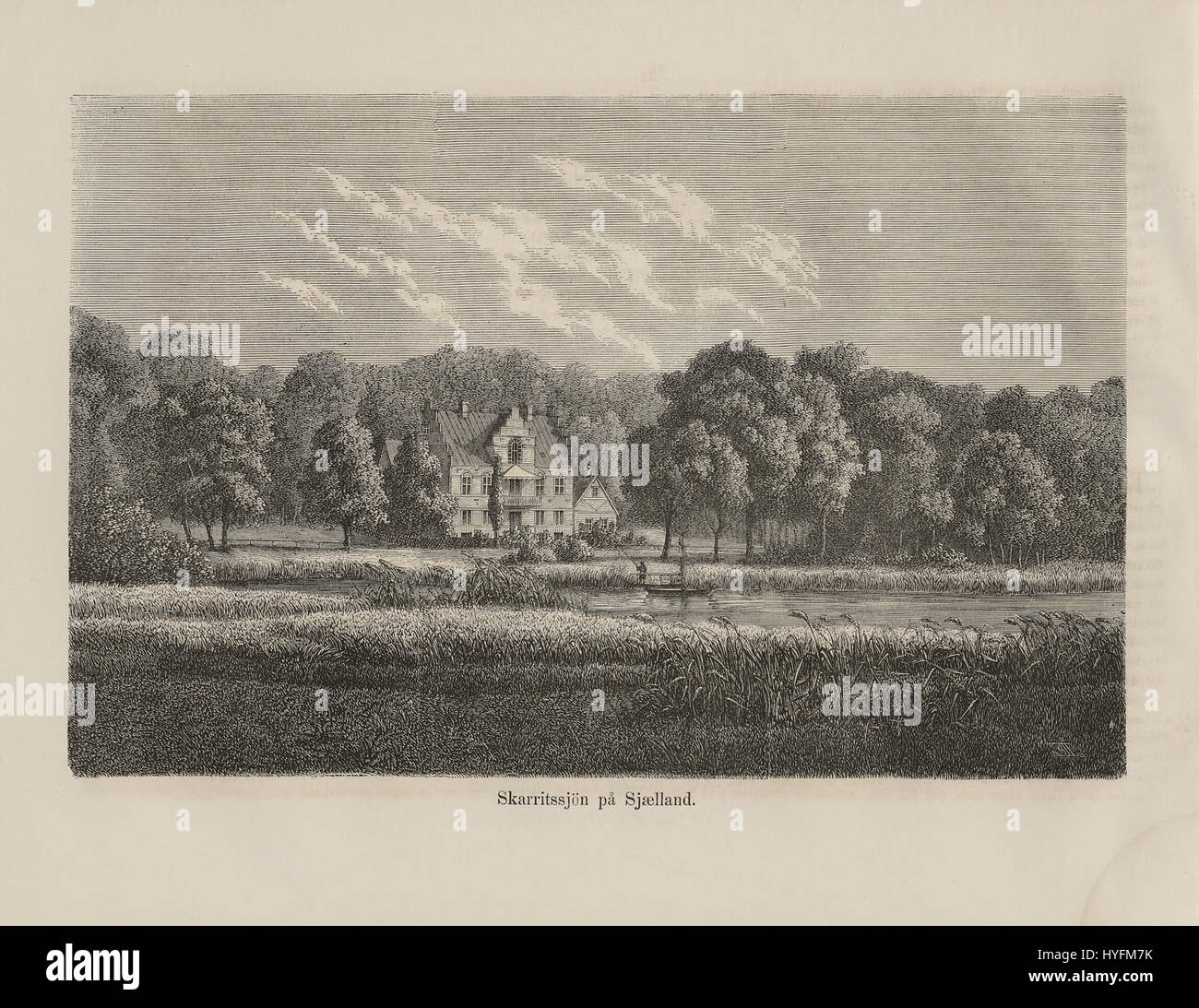 Ce titre fait référence à un texte nordique ou à une illustration, potentiellement cataloguant ou documentant la flore de l'Europe du Nord. L'accent pourrait être mis sur les espèces végétales ou les études botaniques de la région. Banque D'Images