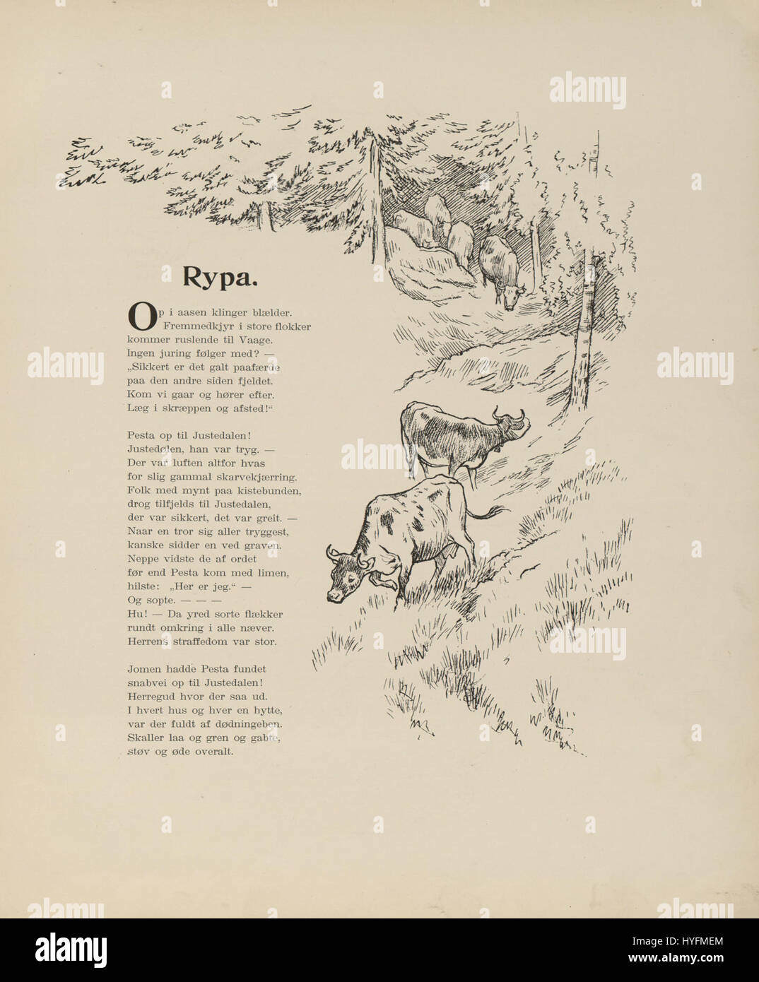 "Svartedauen" fait référence à la peste noire, une pandémie dévastatrice qui a frappé l'Europe au XIVe siècle, provoquant des morts généralisées et des bouleversements sociétaux. Cette référence peut se rapporter à un récit historique spécifique ou à un manuscrit discutant de ses effets en Norvège. Banque D'Images