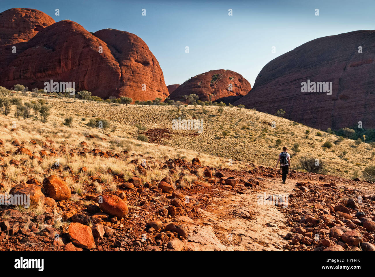 Kata Tjuta (les Olgas) formation rocheuse naturelle. Territoire du Nord, Australie Banque D'Images