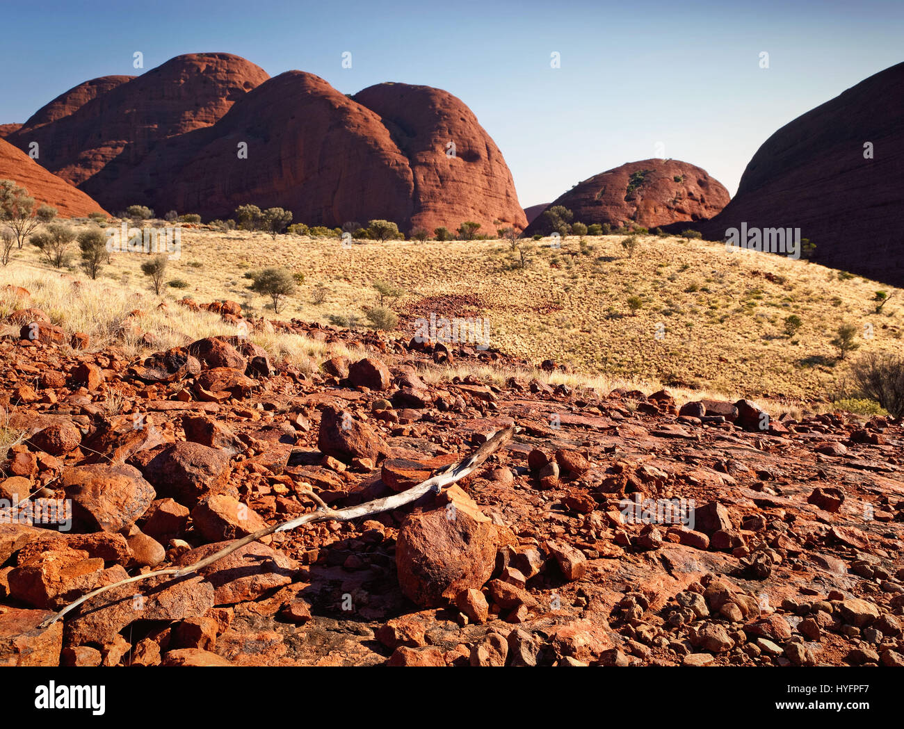 Kata Tjuta (les Olgas) formation rocheuse naturelle. Territoire du Nord, Australie Banque D'Images