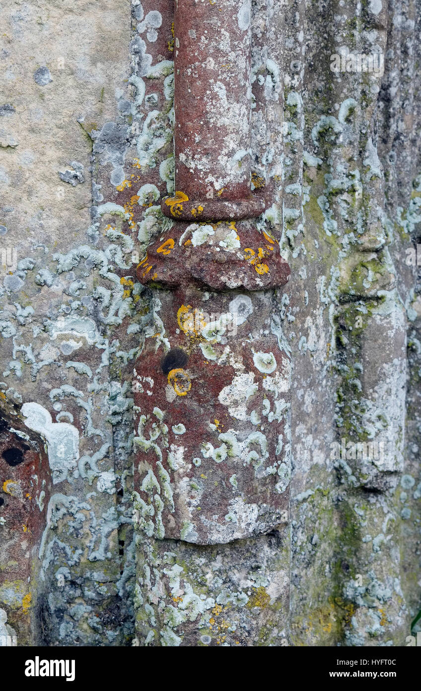 Lichen sur mur de l'église, Norfolk, Angleterre Banque D'Images