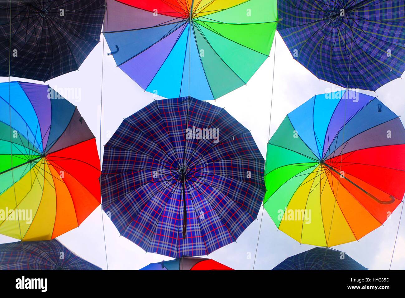 Modèle de conception parapluie coloré Banque D'Images