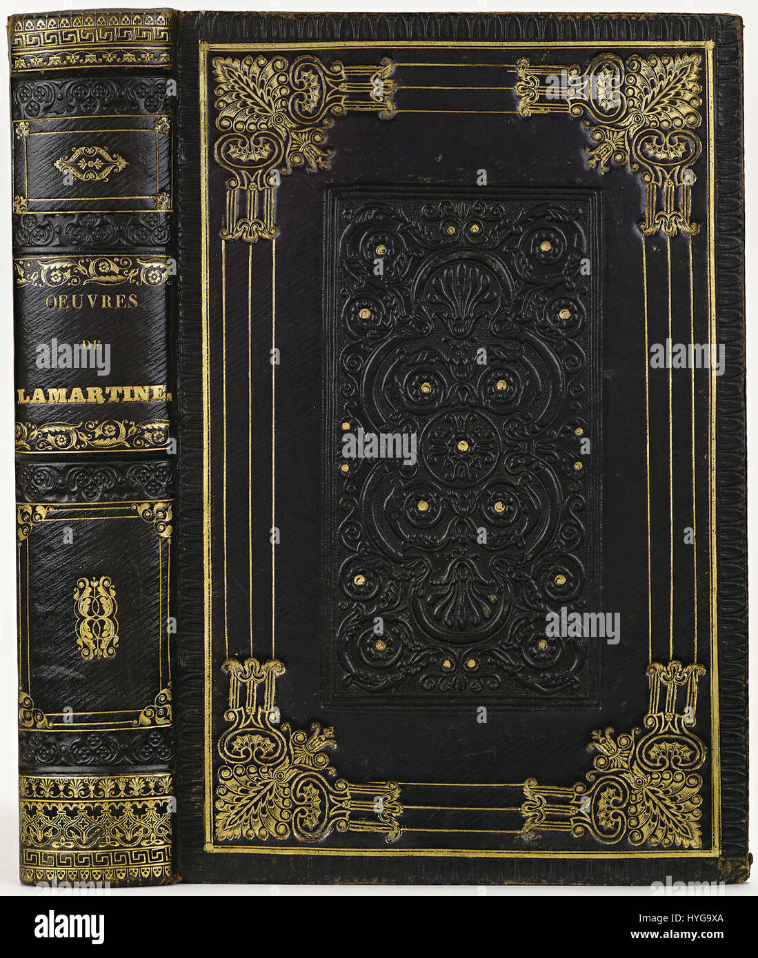 Cet article est un morceau de cuir marocain violet foncé (bande), identifié par le code KONB12 167E1. Il met en valeur la texture riche et la couleur typique des matériaux en cuir de haute qualité, utilisés dans les produits de luxe et la reliure. Banque D'Images