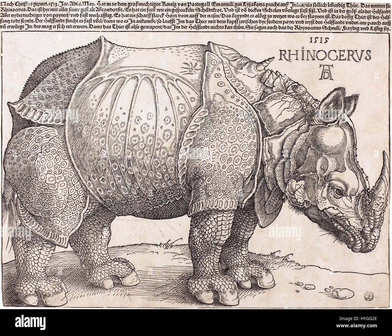 'Le rhinocéros' est une gravure d'Albrecht Dürer, créée en 1515, représentant un rhinocéros basé sur une description, comme Dürer n'en avait jamais vu un en personne. Cette pièce est devenue l'une des gravures animales les plus célèbres de la Renaissance. Banque D'Images
