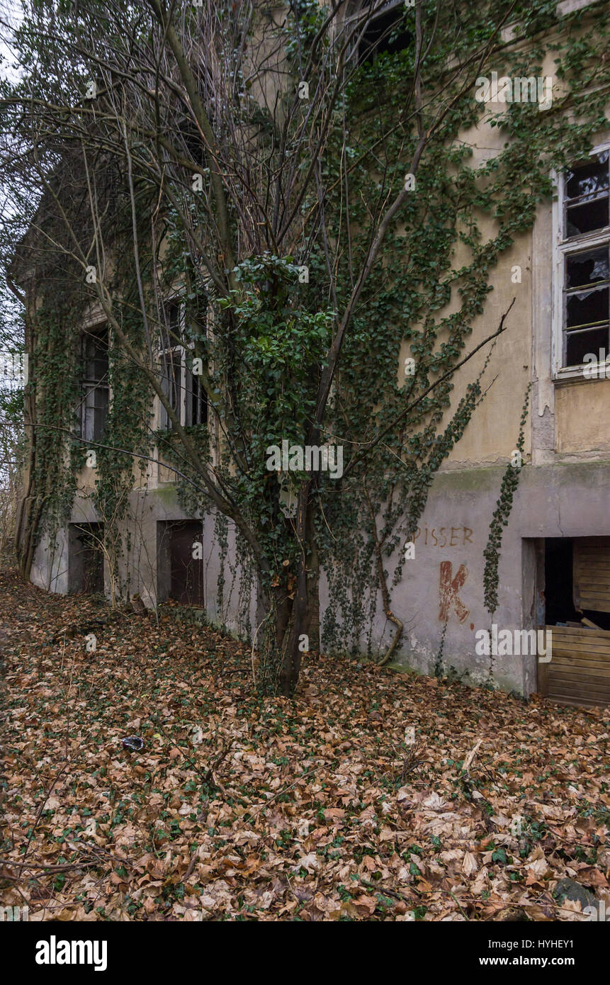 Abandonné et carié villa ville, Demmin, Mecklembourg-poméranie, Allemagne. Banque D'Images