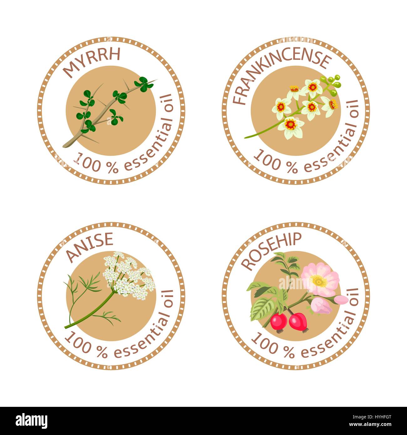 Ensemble d'huiles essentielles des étiquettes. La myrrhe, l'encens, de rose musquée, d'anis Illustration de Vecteur