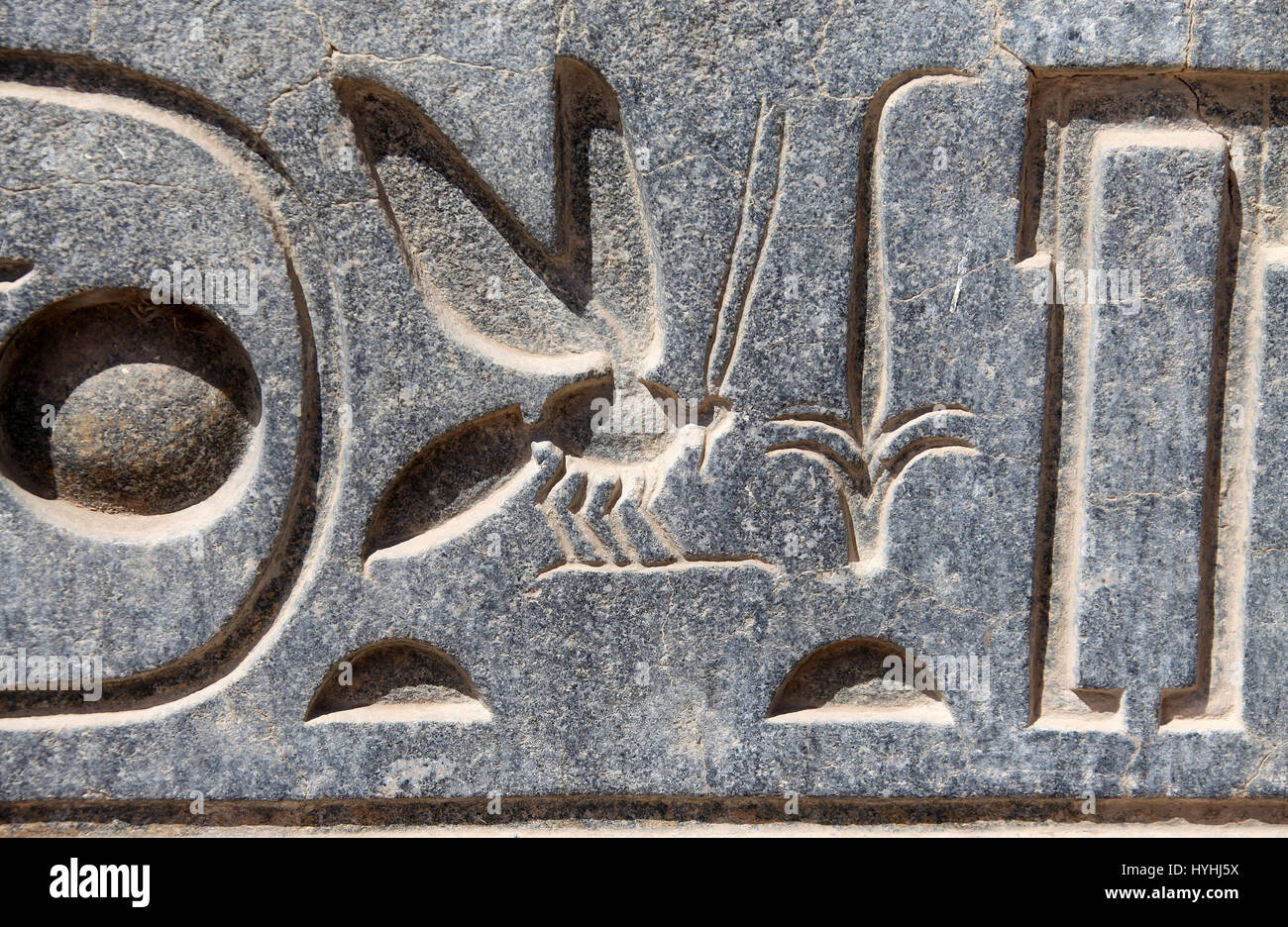Coulé relief montrant l'abeille et reed pour symboliser l'Egypte supérieure et inférieure au Ramesseum dans Luxor Banque D'Images
