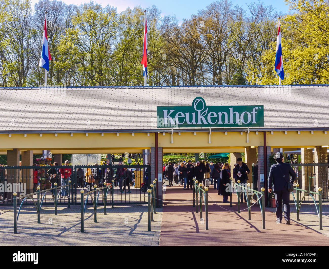 LISSE, Pays-Bas - 16 avril 2016 : Parc floral de Keukenhof, lisse, aux Pays-Bas. Keukenhof est le plus grand jardin fleuri avec 7 millions de flow Banque D'Images