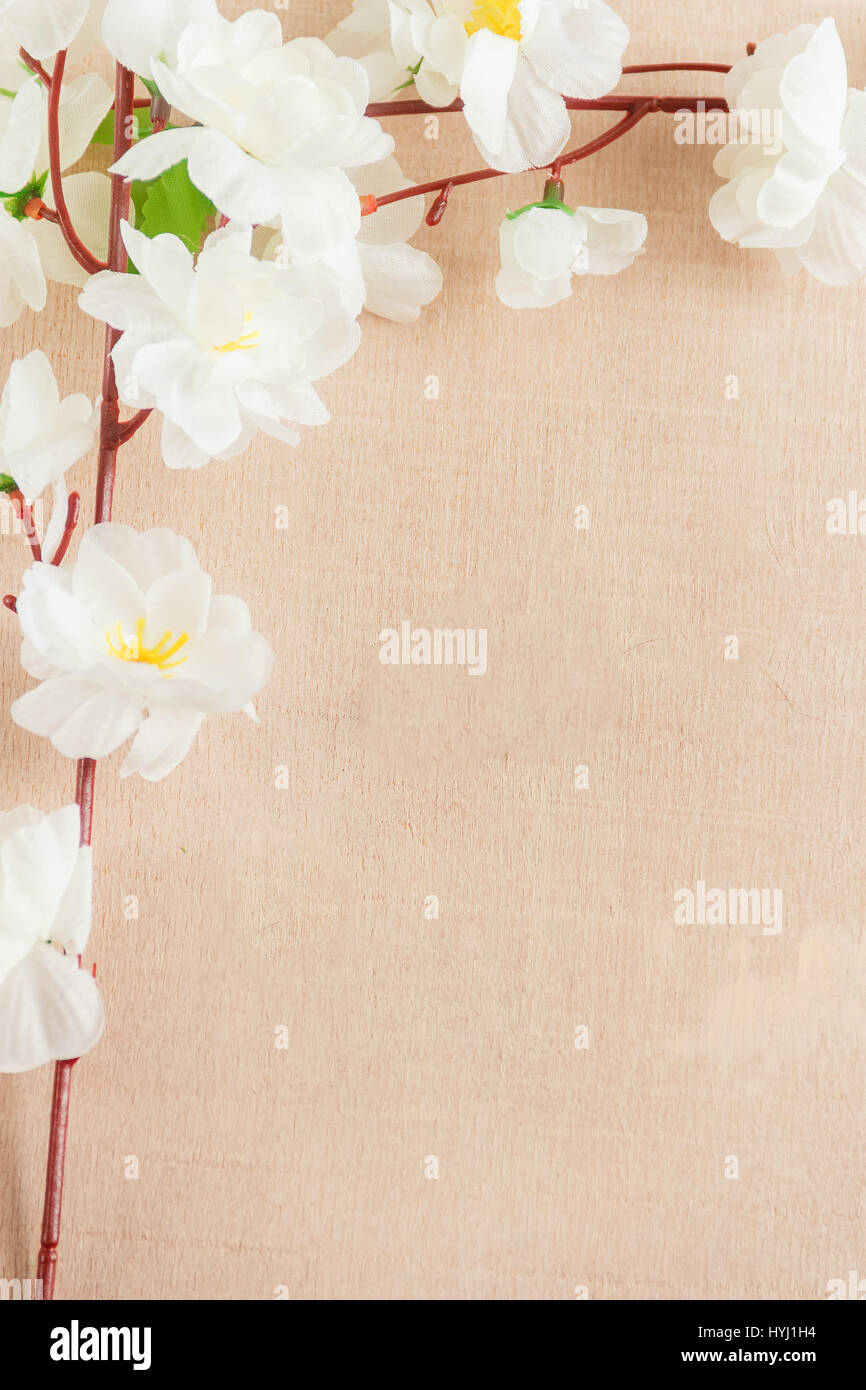 Image de fleurs de printemps sur un sol en bois ,avec un espace réservé au texte ,printemps ou thème d'été Banque D'Images