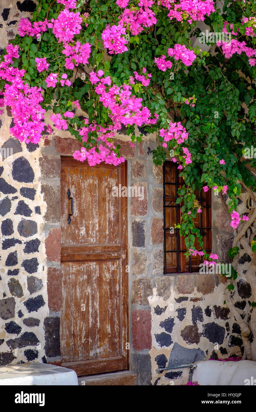 Détail de l'ancienne porte en bois, mur de pierre et de fleurs colorées Banque D'Images