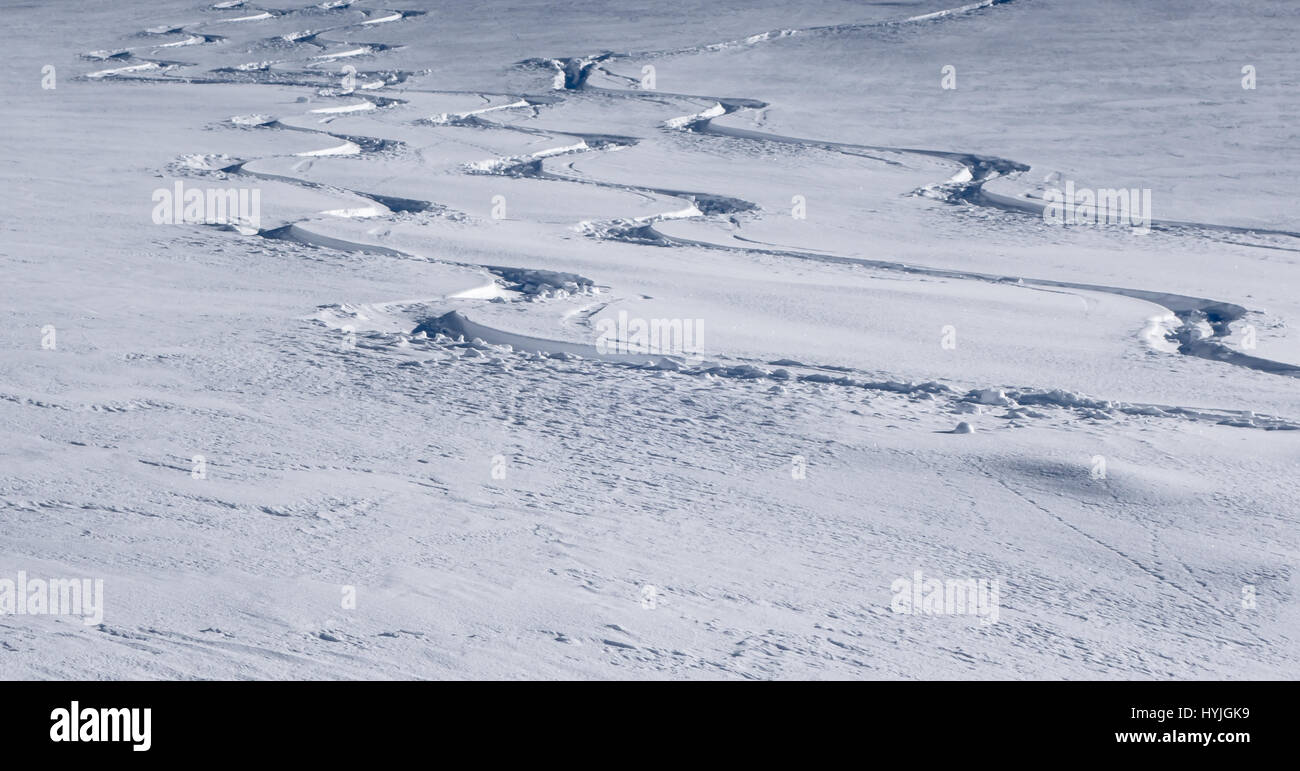 Trois pistes de ski en virage parallèle en poudreuse fraîche sur un côté de la montagne qui n'a pas été précédemment suivies dans les Alpes en hiver Banque D'Images