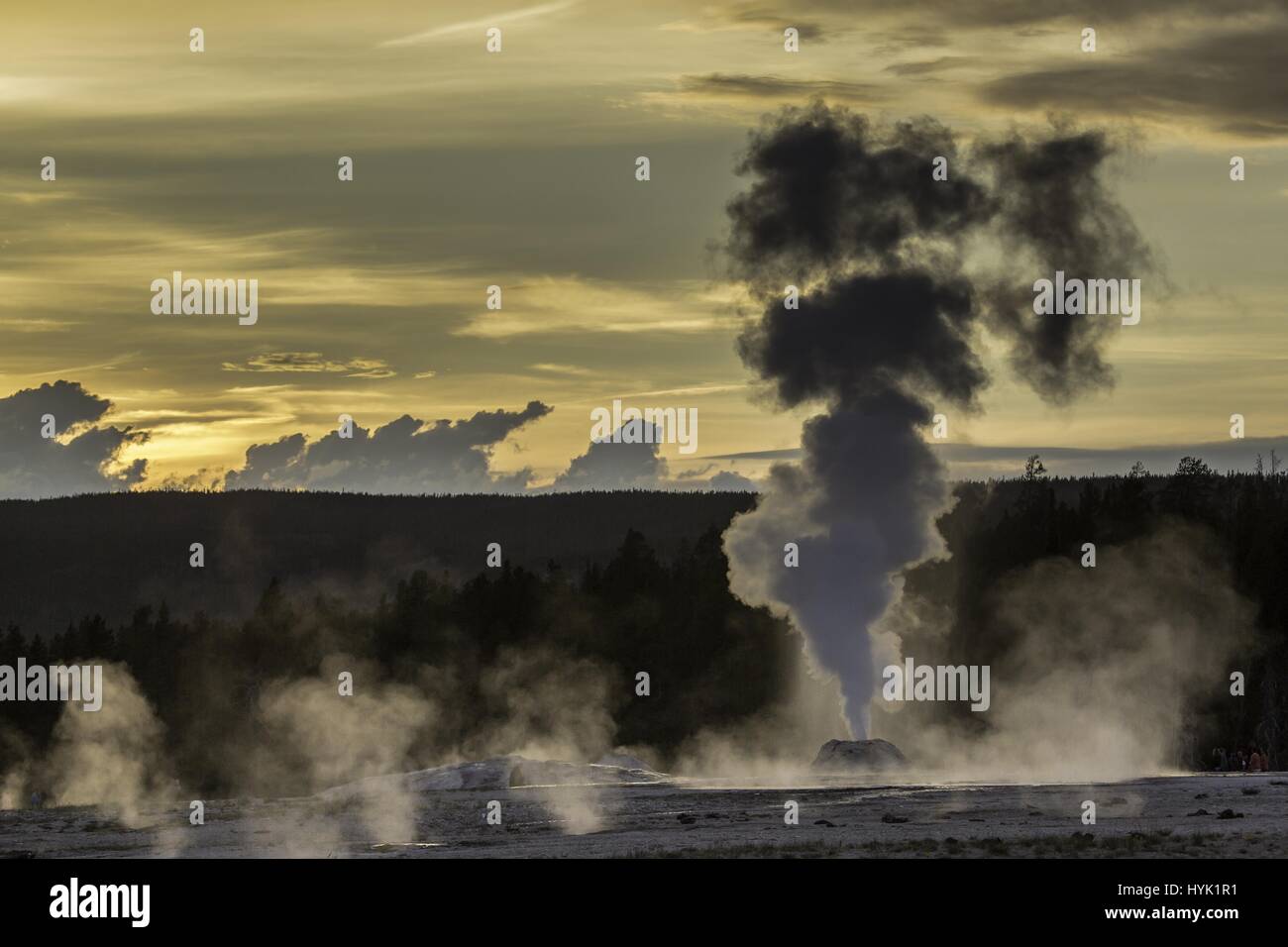 Geyser Lion au coucher du soleil, le Parc National de Yellowstone, Wyoming, le 4 juin 2015. Image courtoisie Neal Herbert/Parc National de Yellowstone. Banque D'Images Geyser Lion au coucher du soleil, le Parc National de Yellowstone, Wyoming, le 4 juin 2015. Image courtoisie Neal Herbert/Parc National de Yellowstone. Banque D'Images