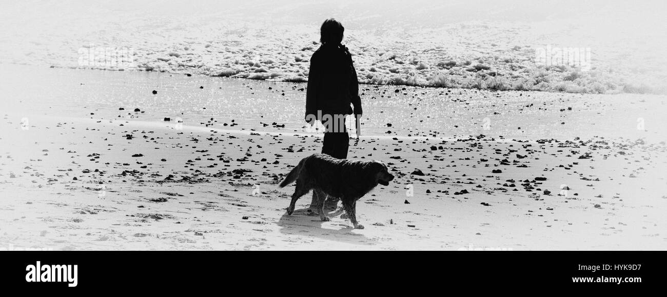 Promenade chien monochrome de rêve sur scène beach Banque D'Images