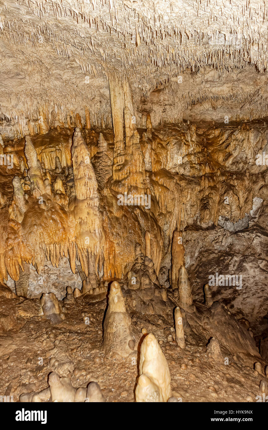 Demanovska Grotte de la liberté près de Bratislava, Slovaquie Banque D'Images