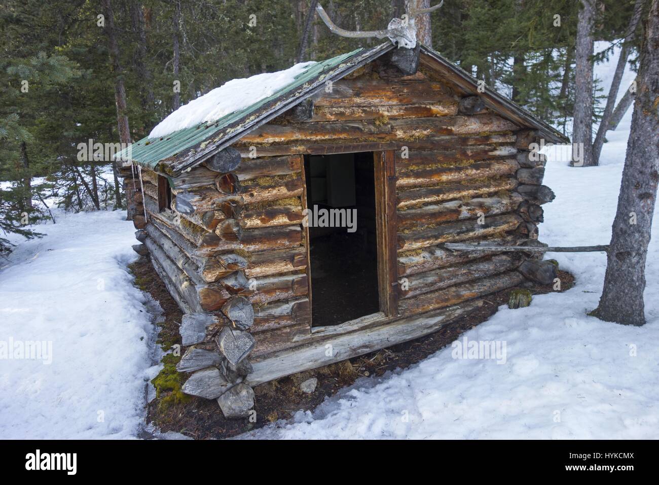 Ancienne cabine rustique Pioneer en bois de bois en rondins dans une forêt enneigée. Paysage d'hiver des montagnes Rocheuses canadiennes Parc national Banff Banque D'Images