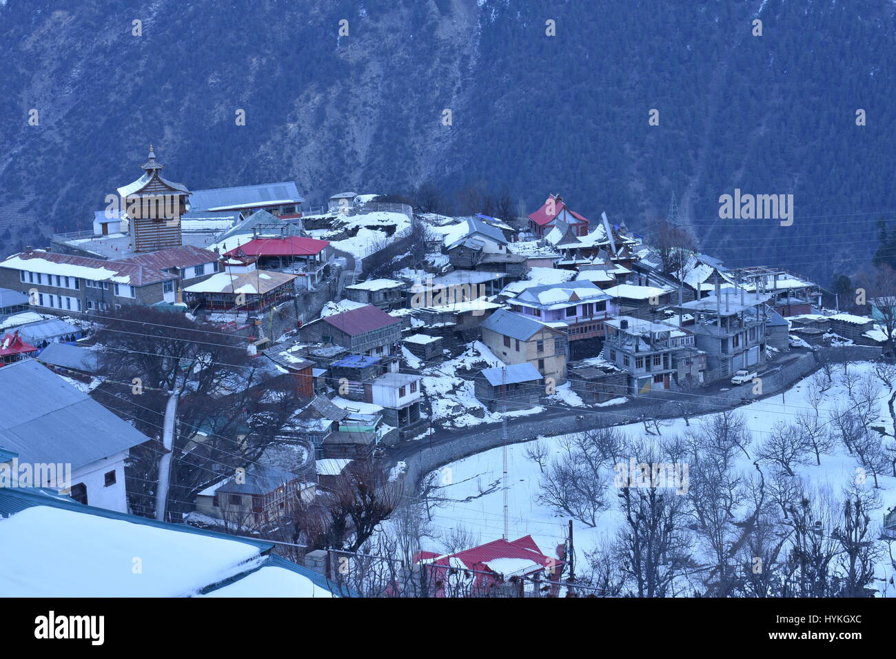 Paysage d'hiver, Kalpa, Kinnaur, Himachal Pradesh, Inde Banque D'Images