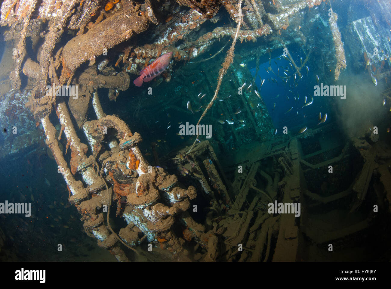 De superbes images ont révélé l'amasse de plusieurs millions de dollars de matériel militaire américain qui se trouve au fond de l'océan Pacifique. Les images, montrant les touristes à explorer les ruines, mettez en surbrillance l'étendue des déchets causés après l'US Navy déversaient leurs équipements dans l'océan après la fin de la Seconde Guerre mondiale dans un lieu qui deviennent bien connu comme "Million Dollar Point". Les Américains avaient été à l'aide d'Espiritu Santo dans l'île paradisiaque de Vanuatu comme base pour lancer leurs attaques contre les Japonais dans le Pacifique et après avoir échoué à parvenir à un accord pour la vente de l'équipement à Banque D'Images