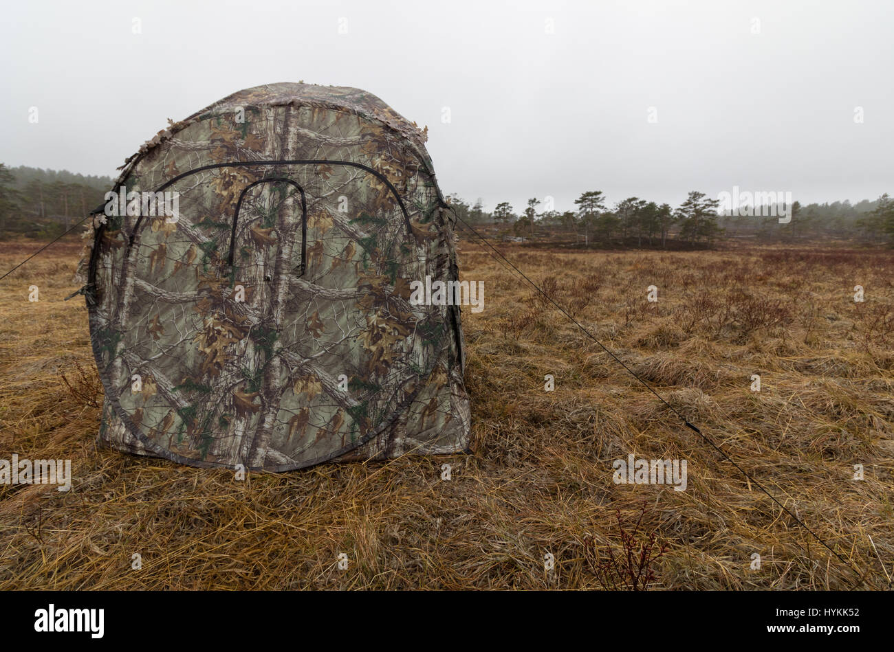 Tente camouflage à l'huppée lek. Tôt le matin, au début d'avril. Printemps Banque D'Images