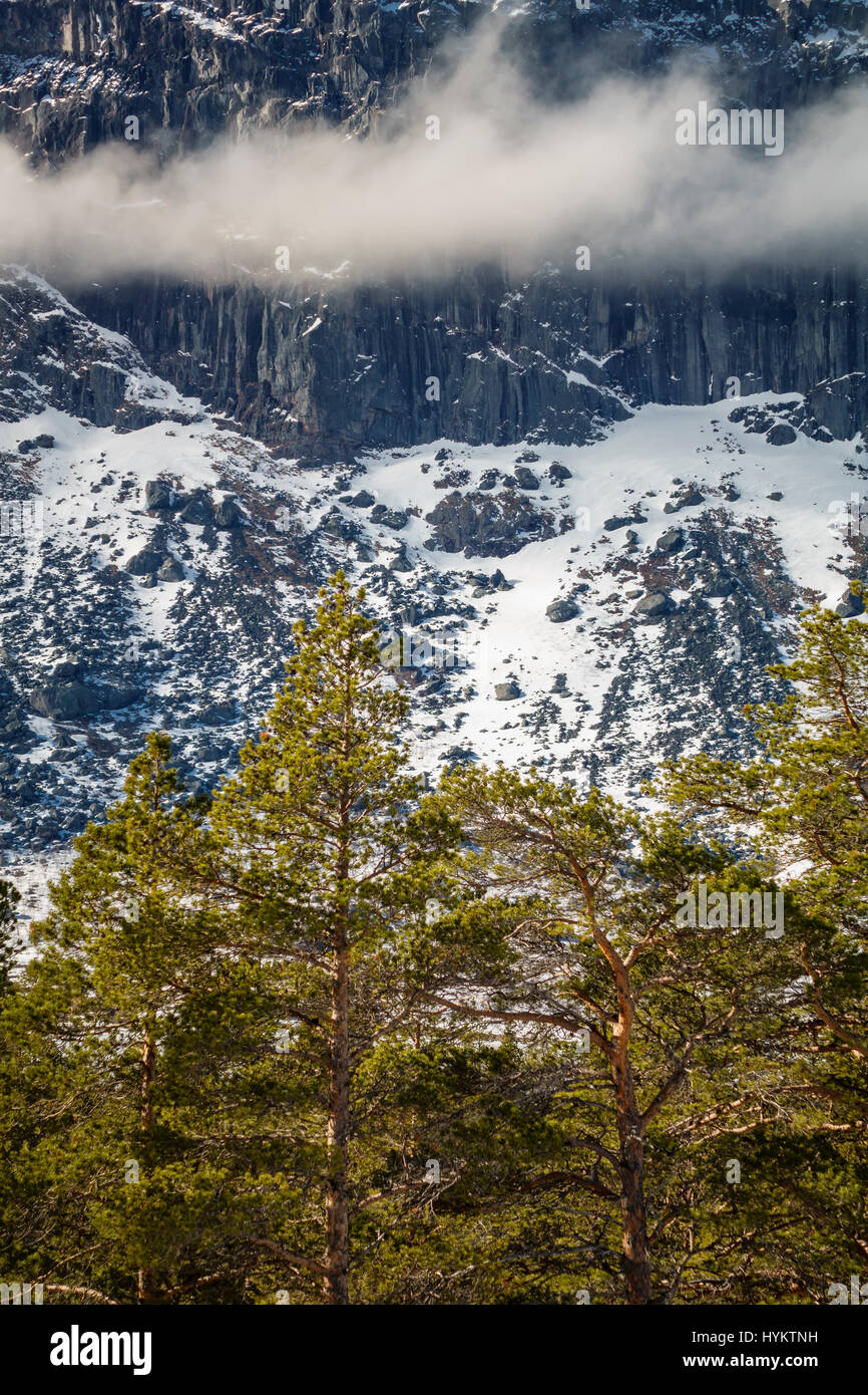 Zone Laponian, Parc National, Stora Sjofallet, la Suède. Photographie de drones Banque D'Images