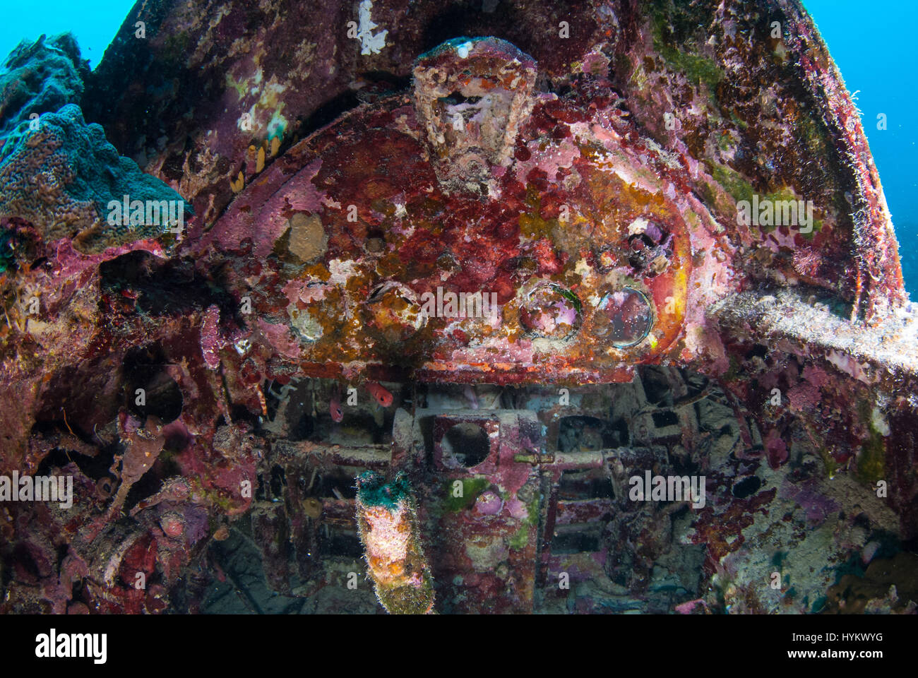 Les Îles Salomon, l'OCÉAN PACIFIQUE : une photo d'un Grumman F6F Hellcat 3 transporteur basé sur des avions de chasse. Les vestiges d'une féroce bataille de la deuxième guerre mondiale ont été capturés à cent huit cinq pieds sous l'eau. Ces images montrent une fois de puissantes machines de guerre, maintenant dorment sur le lit de la mer. Un Japonais Mitsubishi A6M Zero long ranger d'avions de chasse, une Amérique Grumman F6F Hellcat 3 et un Boeing B-17 Flying Fortress sont présentées dans divers degrés de décomposition avec de plus en plus de coraux colorés à partir de maintenant leurs obus rouillés, dont certaines comprenaient les restes humains de l'équipage tragique (non photo Banque D'Images