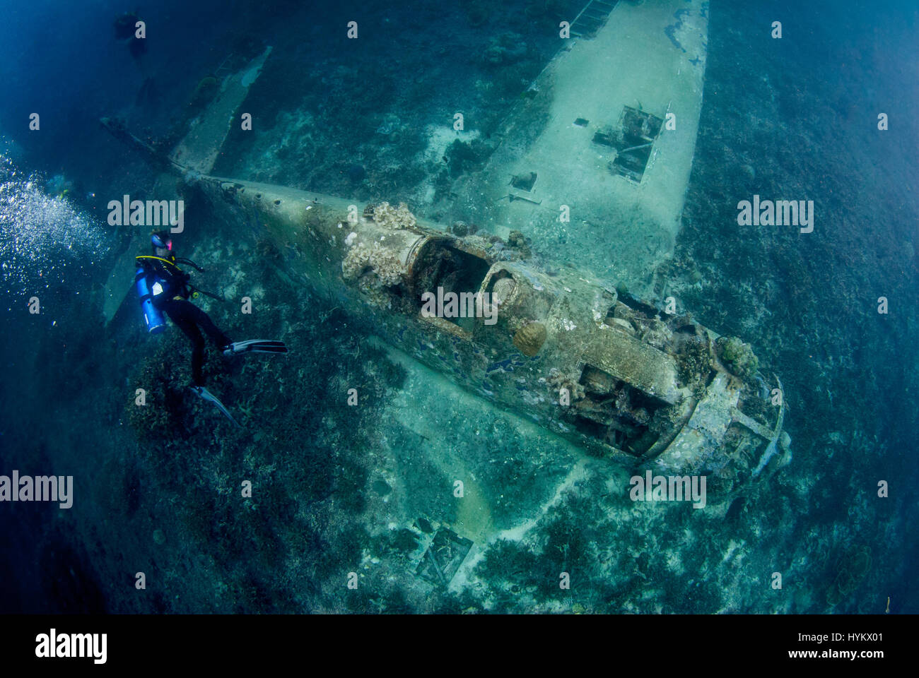 Les Îles Salomon, l'OCÉAN PACIFIQUE : une photo d'un Grumman F6F Hellcat 3 transporteur basé sur des avions de chasse. Les vestiges d'une féroce bataille de la deuxième guerre mondiale ont été capturés à cent huit cinq pieds sous l'eau. Ces images montrent une fois de puissantes machines de guerre, maintenant dorment sur le lit de la mer. Un Japonais Mitsubishi A6M Zero long ranger d'avions de chasse, une Amérique Grumman F6F Hellcat 3 et un Boeing B-17 Flying Fortress sont présentées dans divers degrés de décomposition avec de plus en plus de coraux colorés à partir de maintenant leurs obus rouillés, dont certaines comprenaient les restes humains de l'équipage tragique (non photo Banque D'Images
