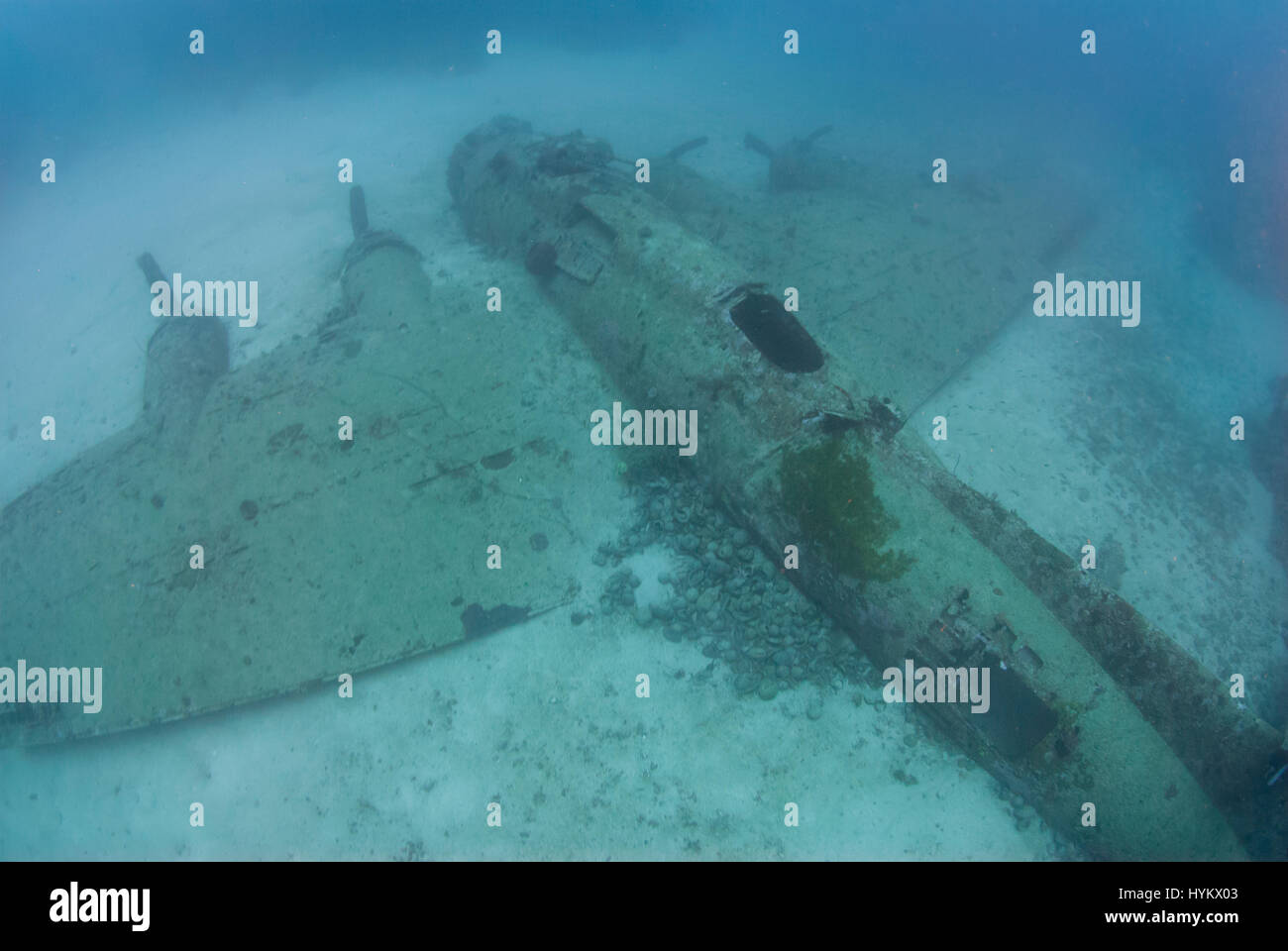 Les Îles Salomon, l'OCÉAN PACIFIQUE : une photo d'un Boeing B-17 Flying Fortress. Les vestiges d'une féroce bataille de la deuxième guerre mondiale ont été capturés à cent huit cinq pieds sous l'eau. Ces images montrent une fois de puissantes machines de guerre, maintenant dorment sur le lit de la mer. Un Japonais Mitsubishi A6M Zero long ranger d'avions de chasse, une Amérique Grumman F6F Hellcat 3 et un Boeing B-17 Flying Fortress sont présentées dans divers degrés de décomposition avec de plus en plus de coraux colorés à partir de maintenant leurs obus rouillés, dont certaines comprenaient les restes humains de l'équipage tragique (pas sur la photo). Sous-marin canadien p Banque D'Images