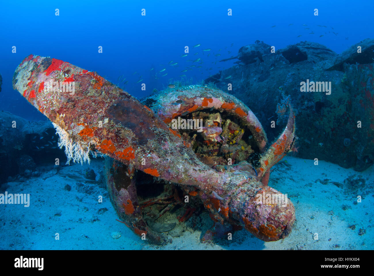 Les Îles Salomon, l'OCÉAN PACIFIQUE : une photo d'un Boeing B-17 Flying Fortress. Les vestiges d'une féroce bataille de la deuxième guerre mondiale ont été capturés à cent huit cinq pieds sous l'eau. Ces images montrent une fois de puissantes machines de guerre, maintenant dorment sur le lit de la mer. Un Japonais Mitsubishi A6M Zero long ranger d'avions de chasse, une Amérique Grumman F6F Hellcat 3 et un Boeing B-17 Flying Fortress sont présentées dans divers degrés de décomposition avec de plus en plus de coraux colorés à partir de maintenant leurs obus rouillés, dont certaines comprenaient les restes humains de l'équipage tragique (pas sur la photo). Sous-marin canadien p Banque D'Images
