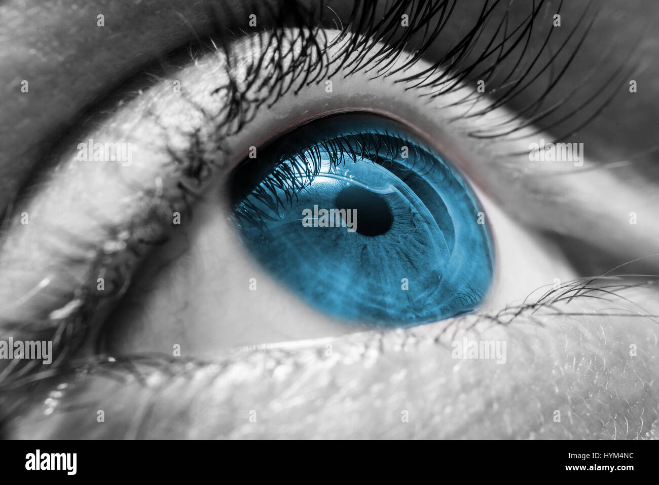 Beau bleu oeil humain très proche de la macro photographie Banque D'Images