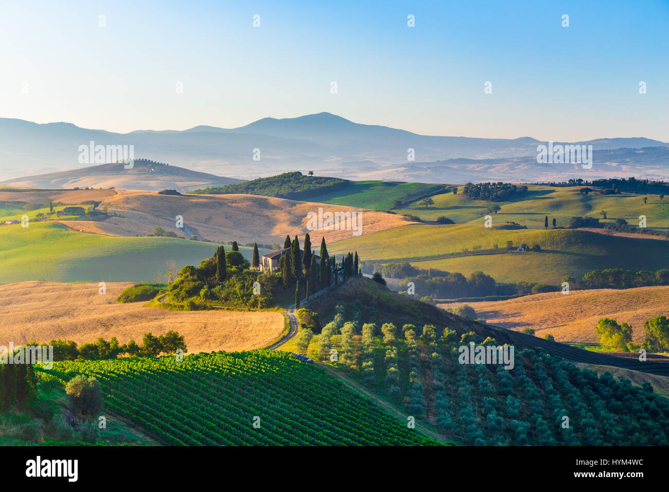 La vue classique du paysage pittoresque de la Toscane avec célèbre ferme au milieu de collines et de vallées idylliques dans la belle lumière du matin au lever du soleil d'or Banque D'Images