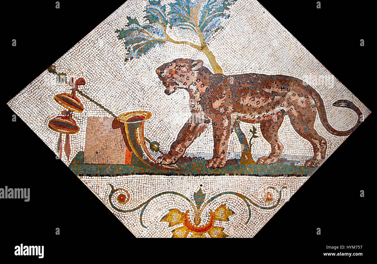 Mosaïque romaine de Pompéi montrant une panthère avec symbole Dionysos (Pantera con simboli dionisiaci) à partir de la collection archéologique de Naples, Santangelo Banque D'Images