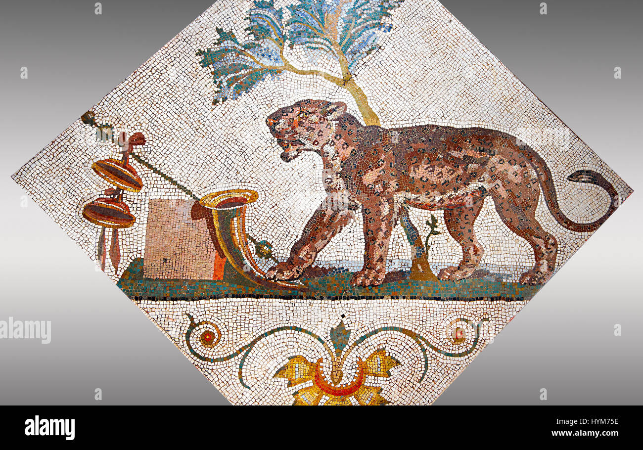 Mosaïque romaine de Pompéi montrant une panthère avec symbole Dionysos (Pantera con simboli dionisiaci) à partir de la collection archéologique de Naples, Santangelo Banque D'Images