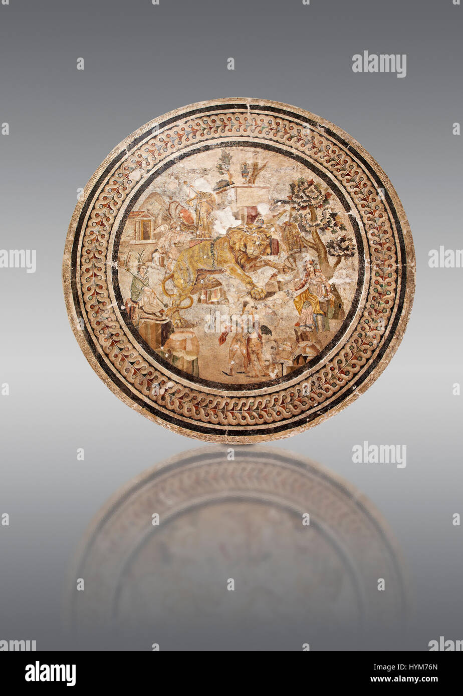 Mosaïque romaine ronde d'un lion et Cupids entre Dionysos et Manadi, Pompéi, Maison du Centaure (VI) 9.3, pas d'inv 10019, Archéologique de Naples Musu Banque D'Images