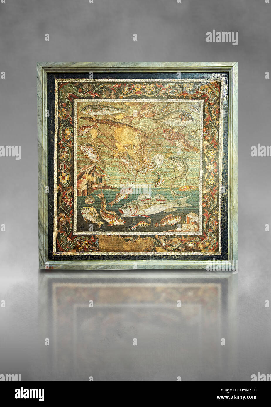 Mosaïque romaine de poissons provenant de Pompéi, Naples, Italie Musum archéologique Banque D'Images