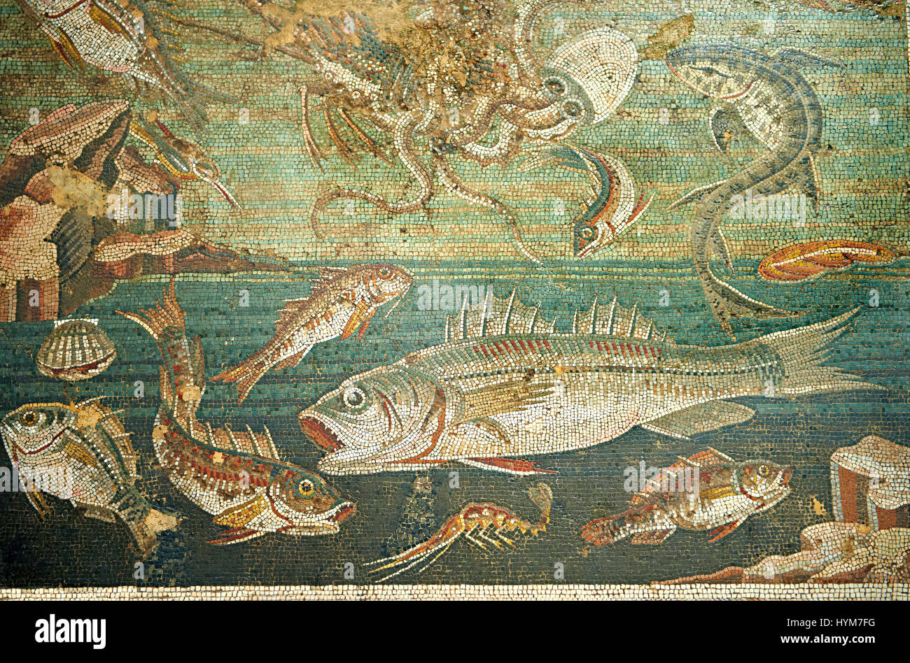 Mosaïque romaine de poissons marins de Pompéi, Casa del Fauno )VI, 12, 2), inv 9997 Musée archéologique de Naples, Italie Banque D'Images
