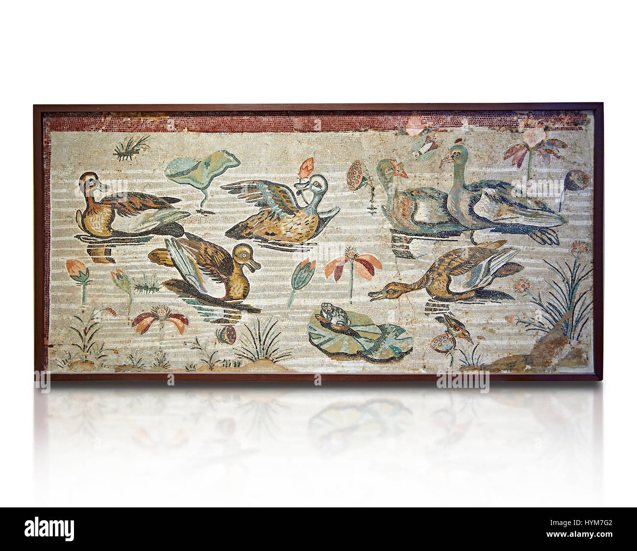 Mosaïque romaine de canards de Pompéi, Naples, Italie Musum archéologique Banque D'Images