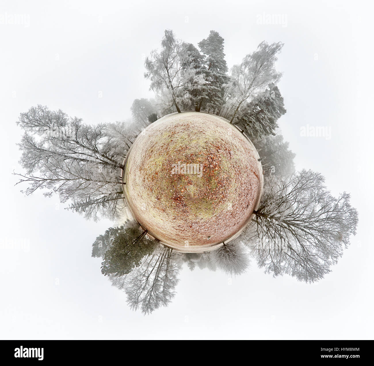 Petite Planète sur panorama sphérique globe hiver russe du soleil paysage avec des arbres et de la neige. Banque D'Images