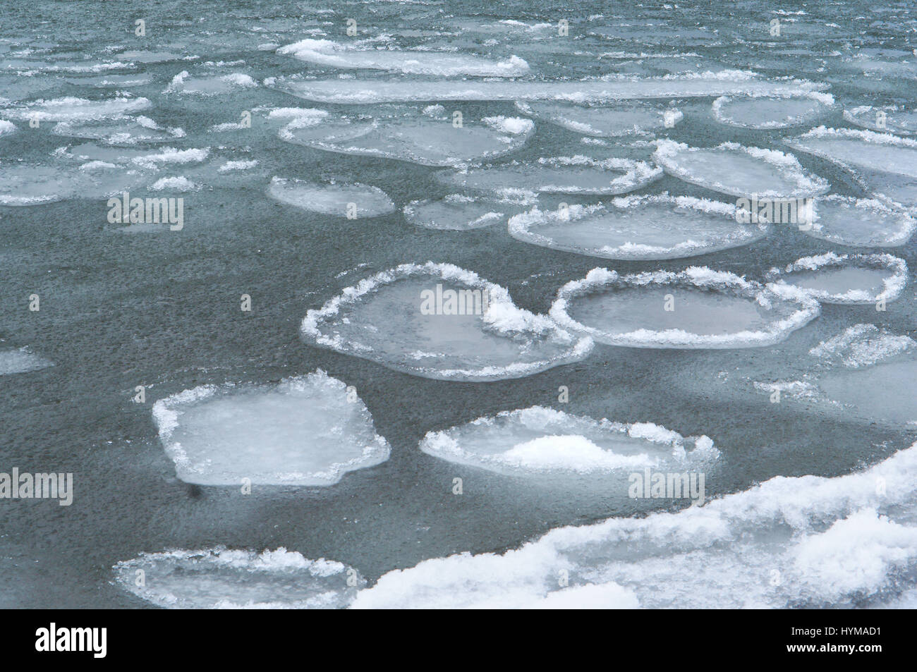 La mer de glace hiver neige froid voyage paysage tourisme balte Banque D'Images