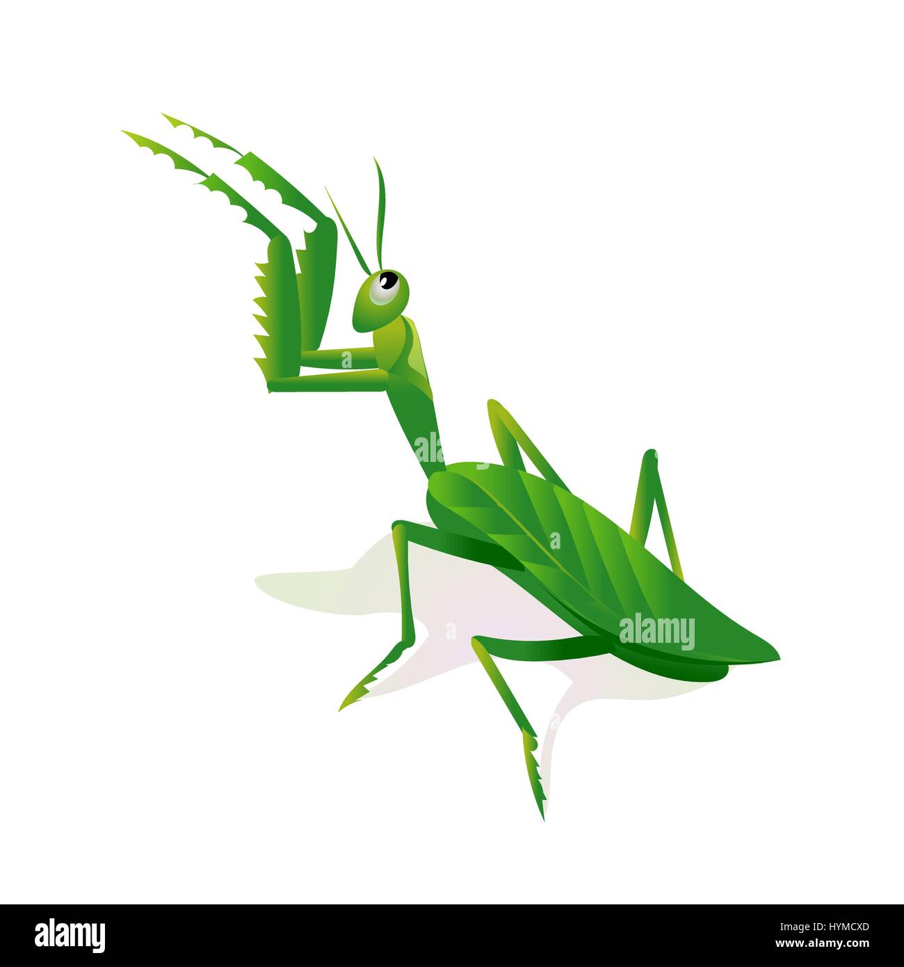 Le Mantis dans une pose, attaquant droit minimaliste sur fond blanc Illustration de Vecteur