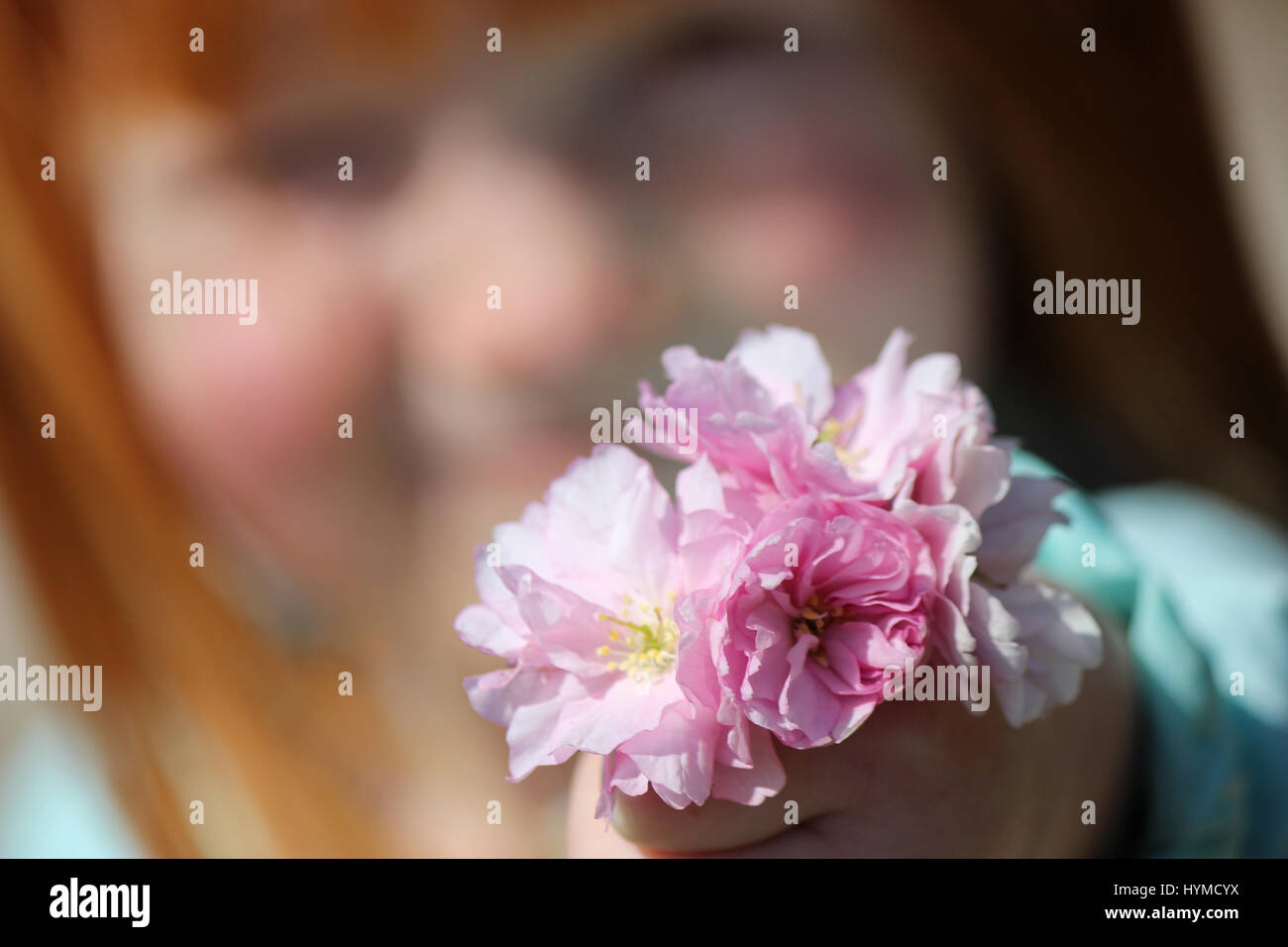 Ma fille offrant un bouquet de fleurs fraîchement cueillies. Banque D'Images