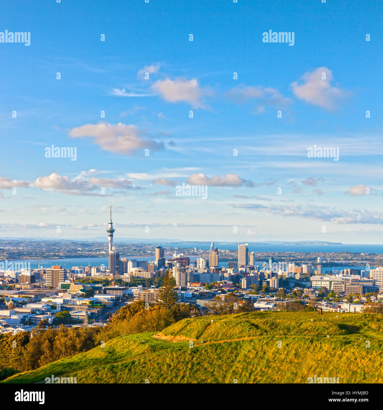 Auckland, Nouvelle-Zélande, du volcan Mont Eden, le bord du cratère est au premier plan. Banque D'Images